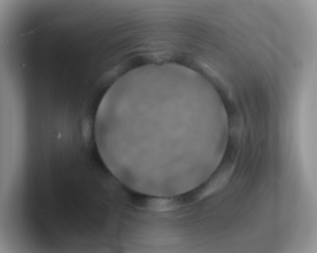 X0000101650139200808071123