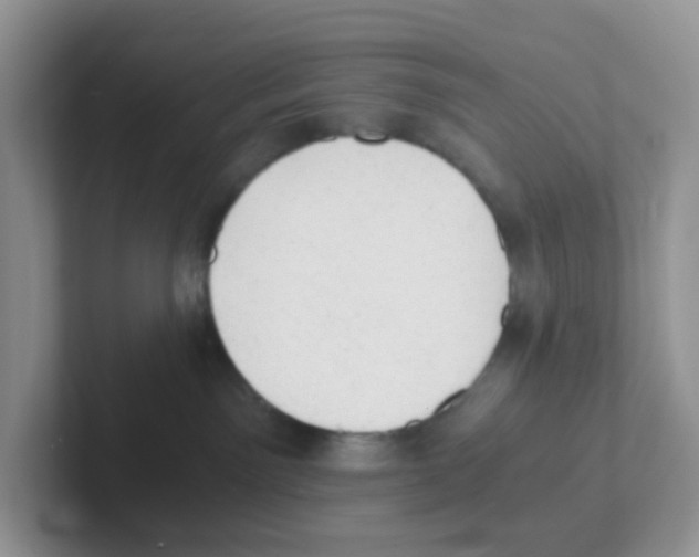 X0000101650141200808071123