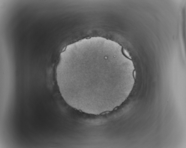 X0000101650144200808071123