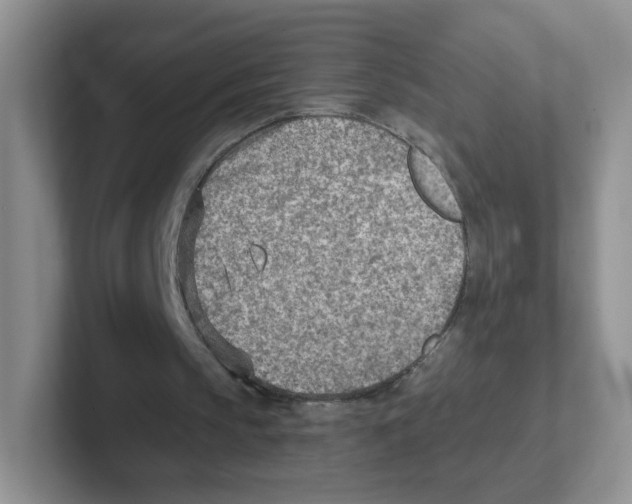 X0000101650145200808071122
