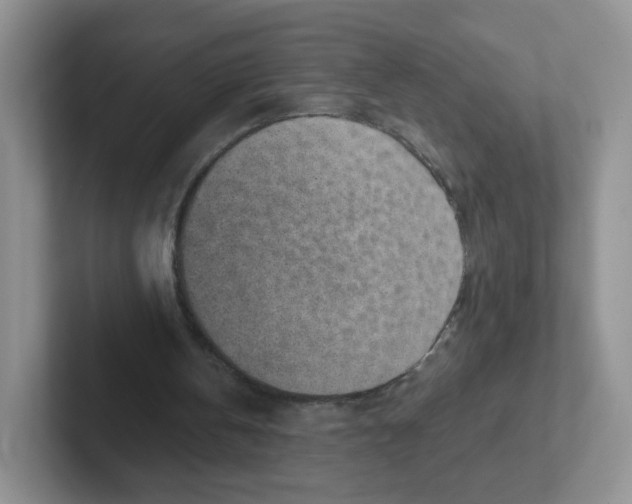 X0000101650146200808071122