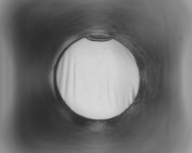 X0000101650148200808071122
