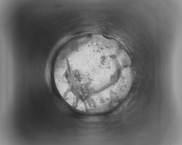 X0000101650149200808071122