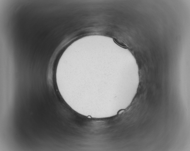 X0000101650150200808071122