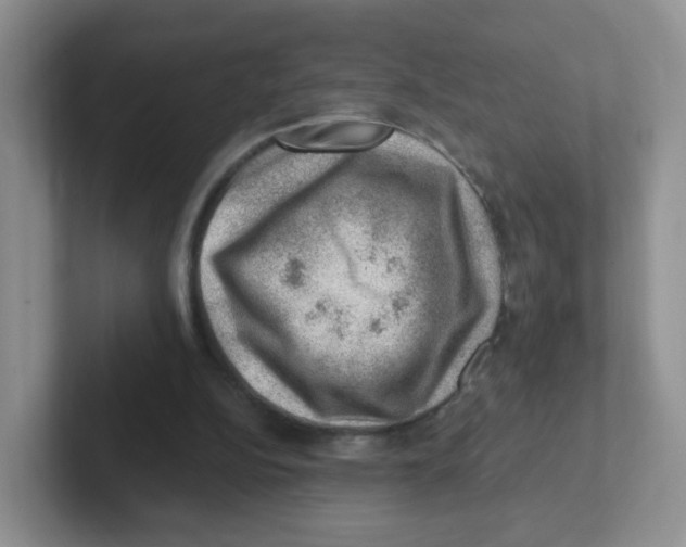 X0000101650152200808071122