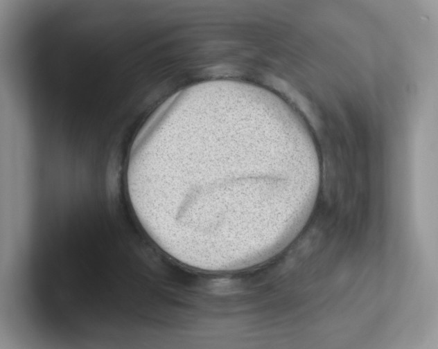 X0000101650153200808071122