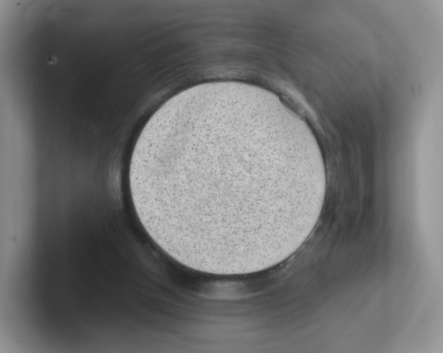X0000101650154200808071122