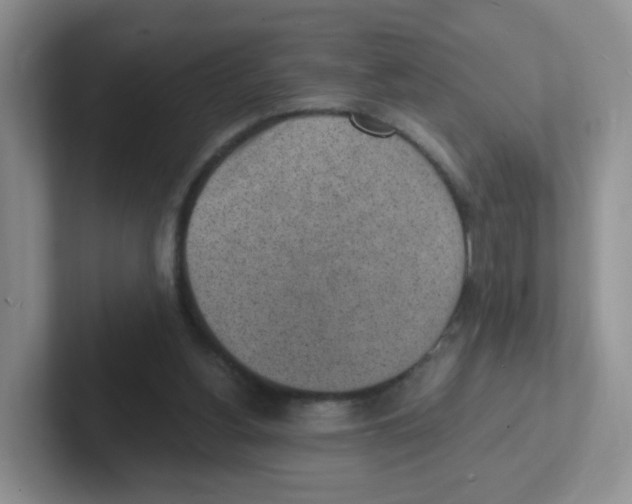X0000101650156200808071122