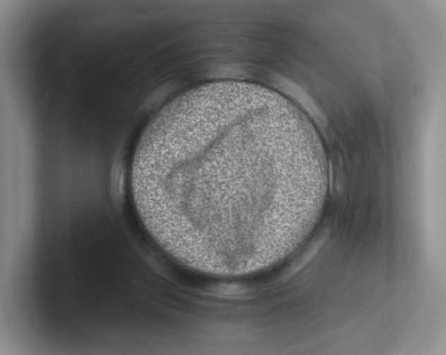 X0000101650157200808071122