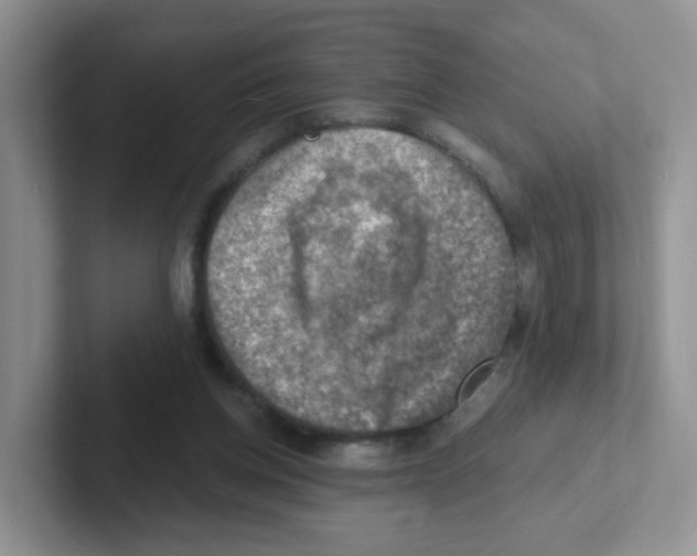 X0000101650158200808071122
