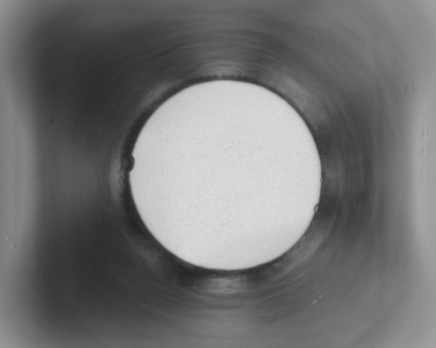 X0000101650160200808071122