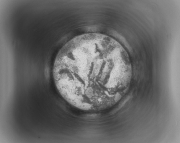 X0000101650161200808071122