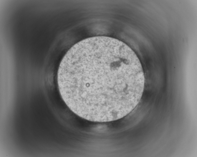 X0000101650162200808071122