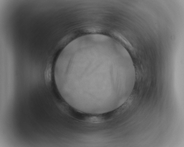 X0000101650163200808071122