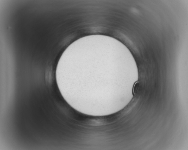 X0000101650164200808071122