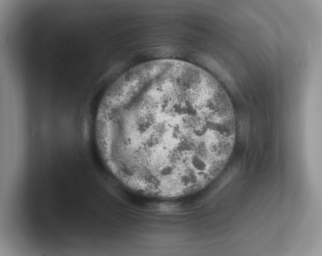 X0000101650165200808071122
