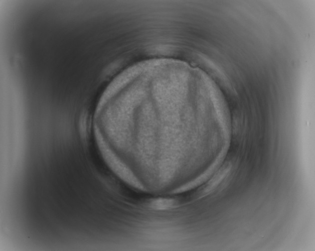 X0000101650168200808071122