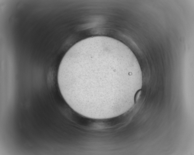 X0000101650171200808071122