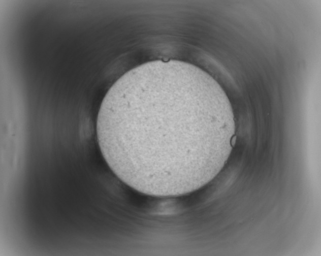 X0000101650173200808071123
