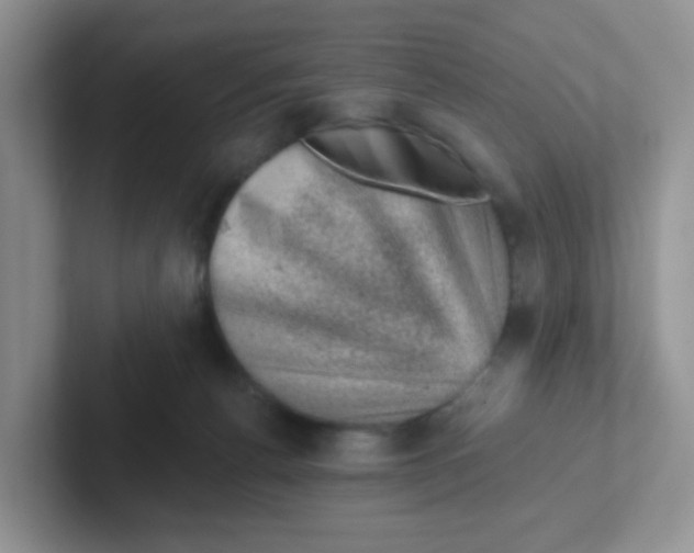 X0000101650176200808071123