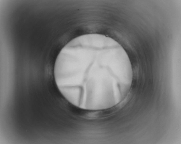 X0000101650178200808071123