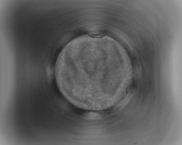 X0000101650180200808071123