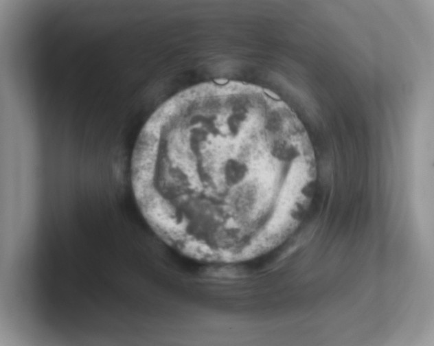 X0000101650181200808071123
