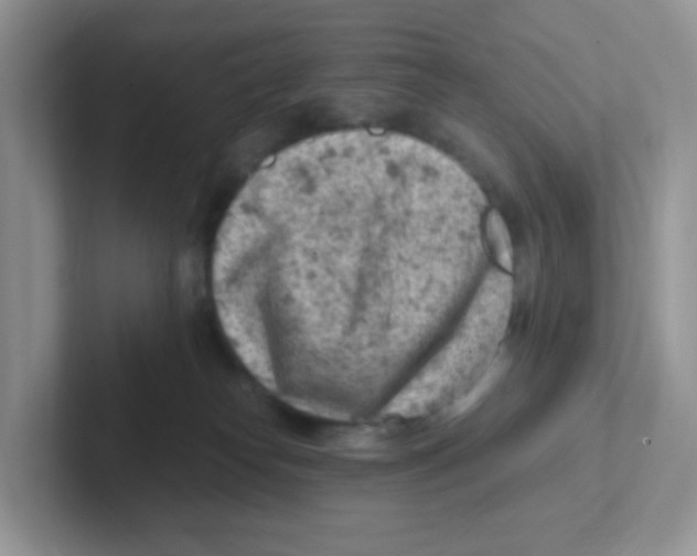 X0000101650182200808071123