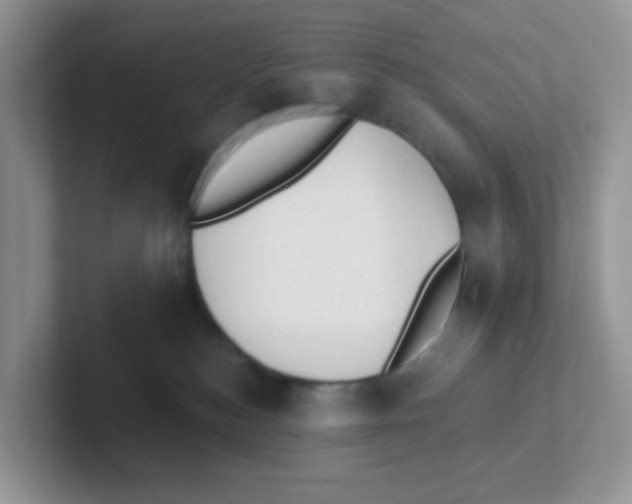 X0000101650184200808071123