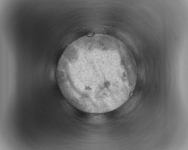 X0000101650185200808071123