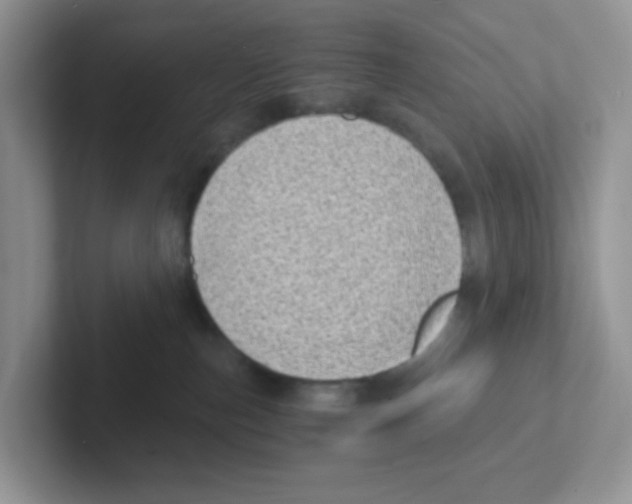 X0000101650187200808071123