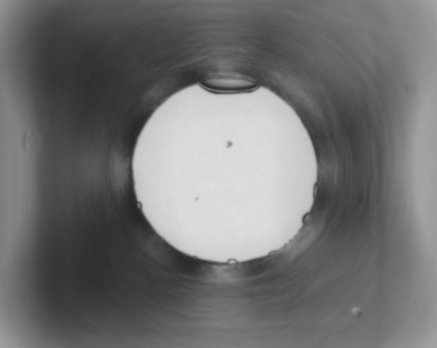 X0000101650188200808071123