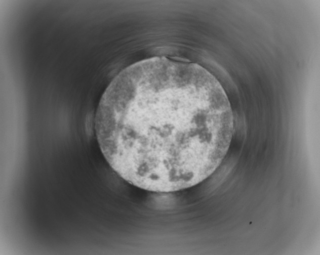 X0000101650189200808071123