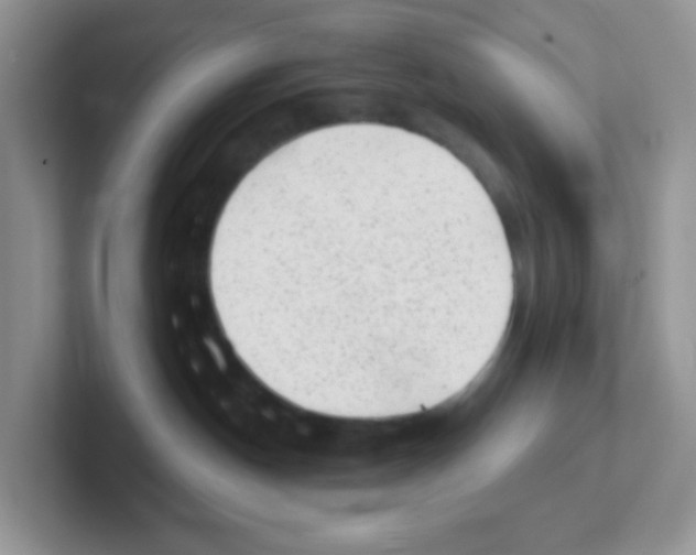 X0000101650190200808071123