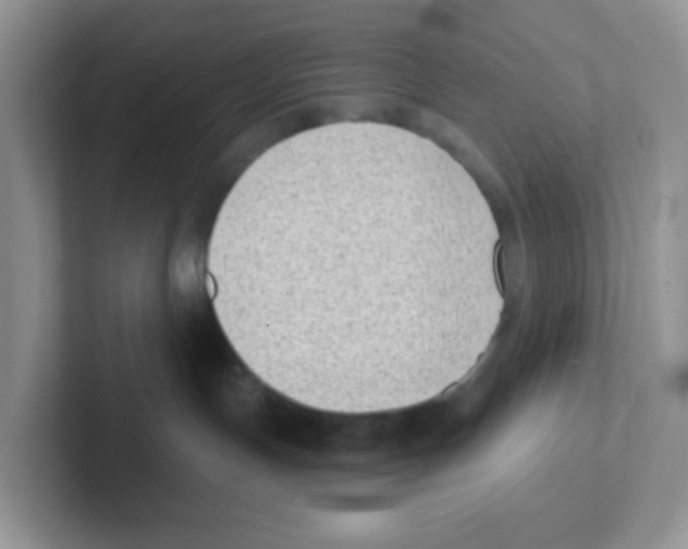 X0000101650191200808071123