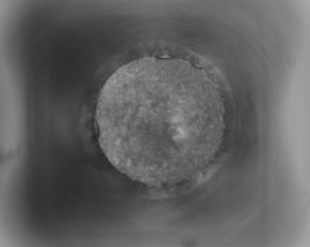 X0000101650192200808071123