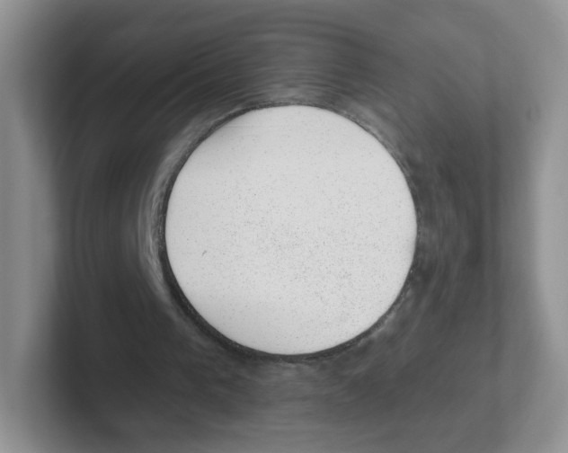 X0000101650193200808071122