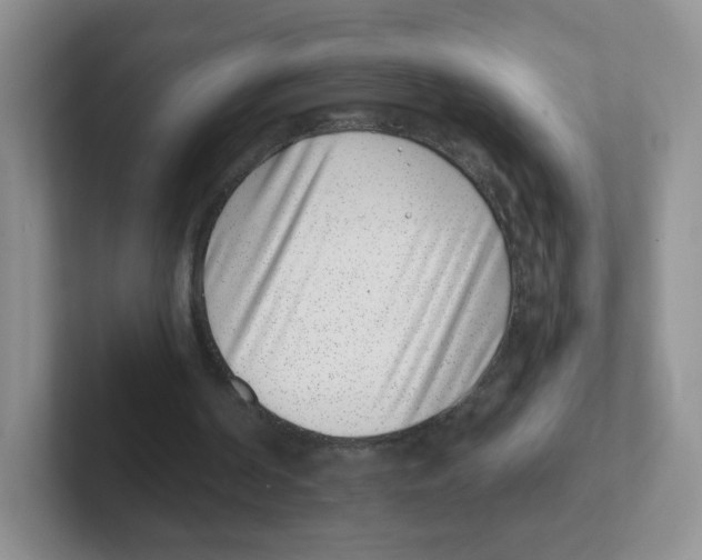 X0000101650194200808071122