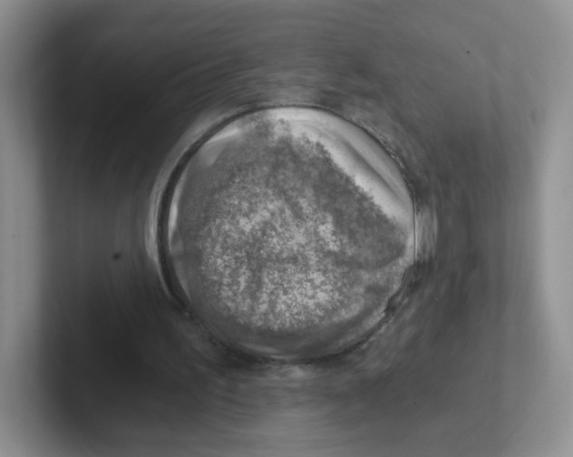 X0000101650195200808071122
