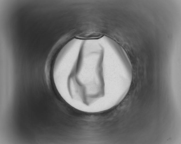 X0000101650197200808071122