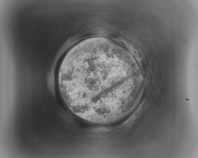 X0000101650198200808071122