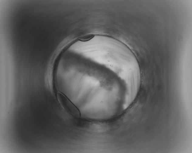 X0000101650199200808071122