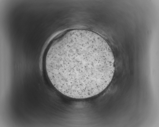 X0000101650200200808071122