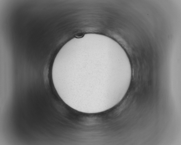 X0000101650201200808071122