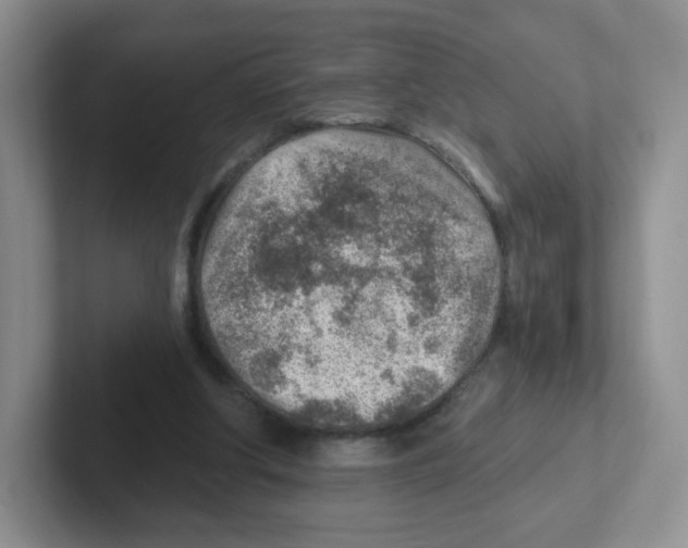 X0000101650202200808071122