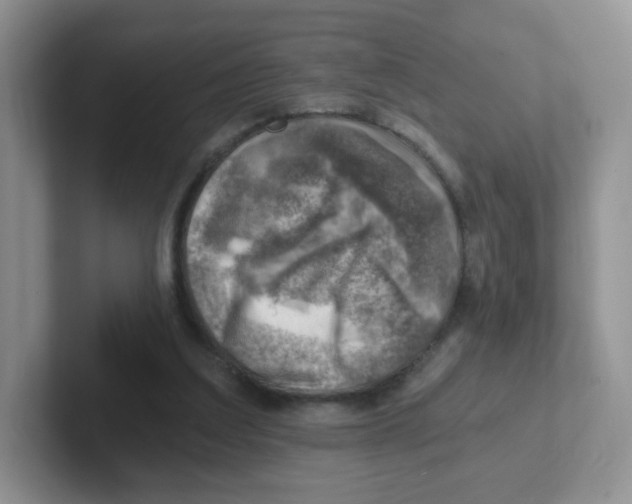 X0000101650203200808071122