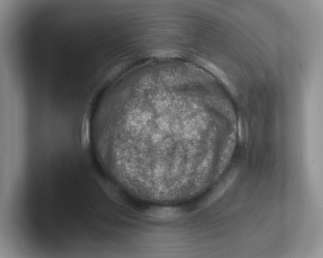 X0000101650205200808071122