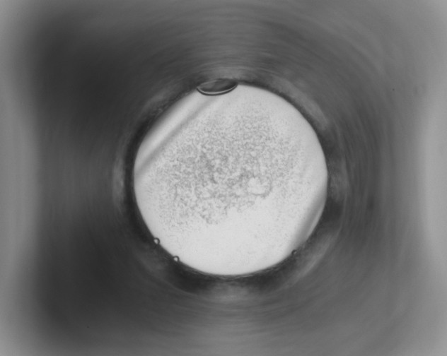 X0000101650207200808071122