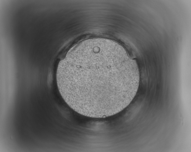 X0000101650208200808071122