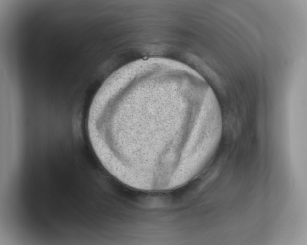 X0000101650209200808071122